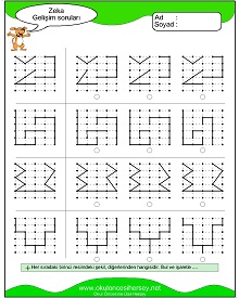 Zeka Gelişim Testleri